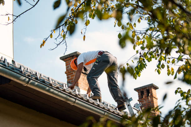 Best Chimney Flashing Repair  in Champlin, MN