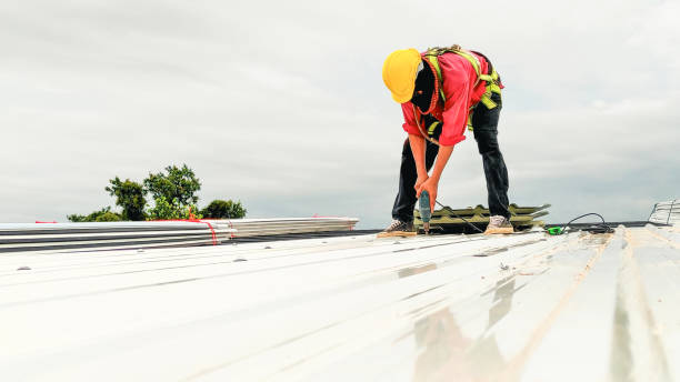 Best Solar Panel Roofing Installation  in Champlin, MN